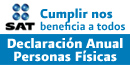 Declaracion Anual